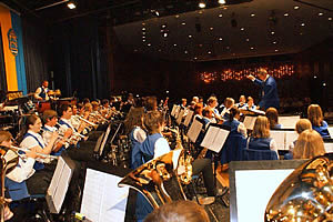 Deutscher Musik Verein