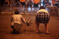 2013_okt_d3a-056